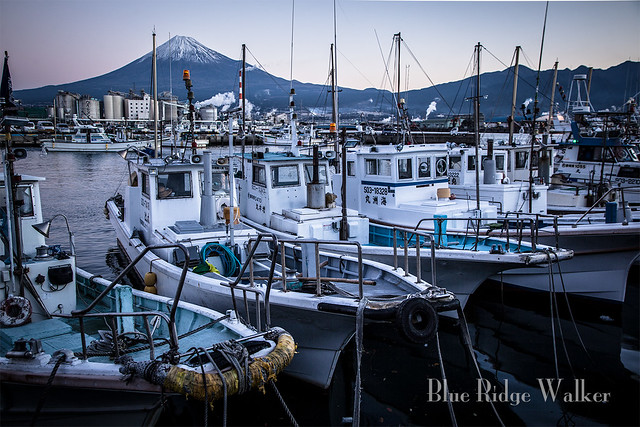 Mt.Fuji and Tagonoura port