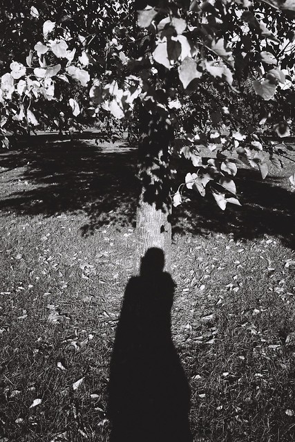 Shadow self portrait, Hyde Park