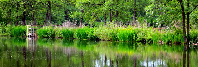 spring pond~