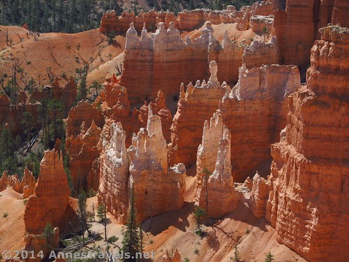 Looking down on hoodoos from near Sunset Point, Bryce Canyon National Park, Utah