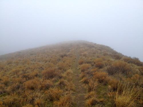 winter fog cliff trail lewiston idaho 2014 january jan jeffe walk hike drg53114 drg531