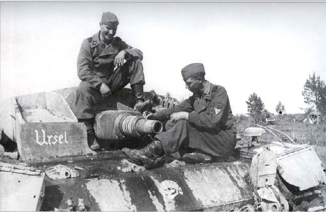 StuG III Ausf.C of the 3.SS.Pz.Div. Totenkopf