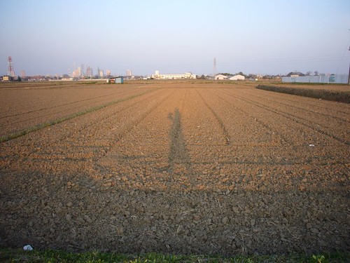 sunset sky orange brown sun selfportrait field japan walking working soil saitama