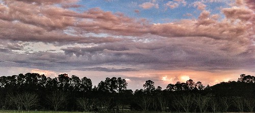 sunset clouds dusk treeline