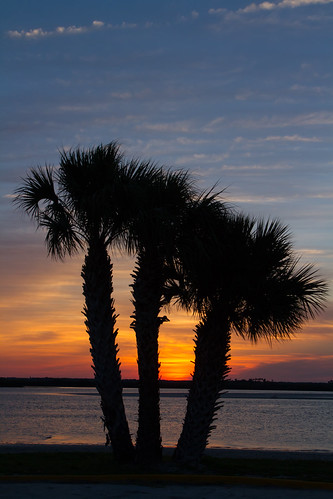 3 Palms by itsnoelb@yahoo.com, Looking East towards beachside across the ICW (Indian River).sunrise florida edgewater newsmyrnabeac