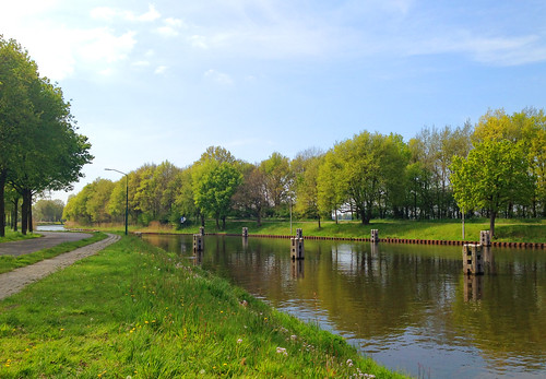 canal water forest netherlands noord brabant haghorst