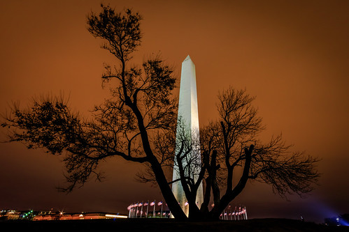 nature naturebeauty greatnature explore nationalgeographic park farm dazzlingshot wildlife beauty canon usa 7dmkii dc blinkagain ultimateshot supershot washingtonmonument washington washingtondc washdc washingtonmonumentatnight silhouette nightshot night longexposure longshutter flag