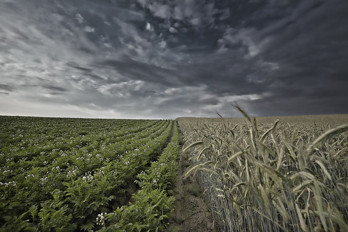 Homeland by Joerg Marx, sky field clouds feld himmel wolken