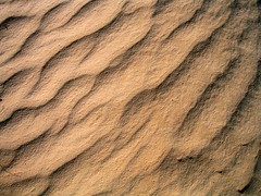 Sahara Sand Ripples