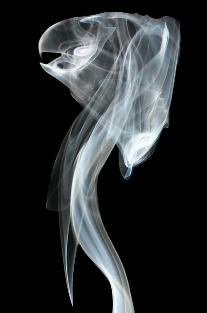 Smoke Art - Eagle Lady 2
