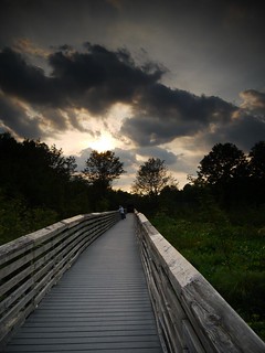 clouds over the great swamp boardwalk at sunset