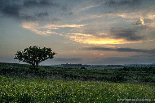 uk sunset england tree clouds landscape bradford britain yorkshire july 2013 denholme jstevesw samsungnx5