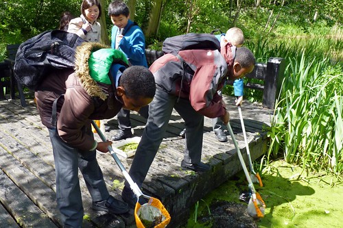 UCL Academy students become environmental engineers