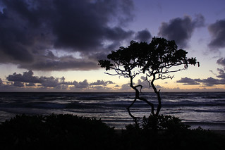 Nukoli'i Beach Sunrise