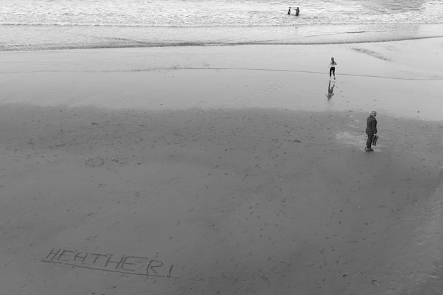 Heather on the beach - Whitby