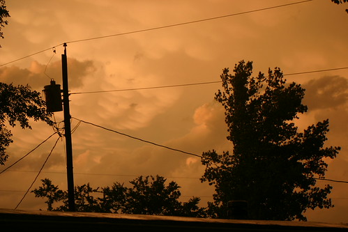 IMG_3543 by moonwolf23, 