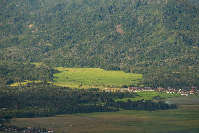 Kerinci Valley