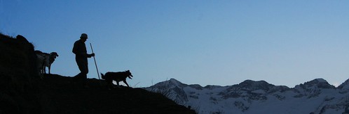 sunset mountain shepherd pyrénées