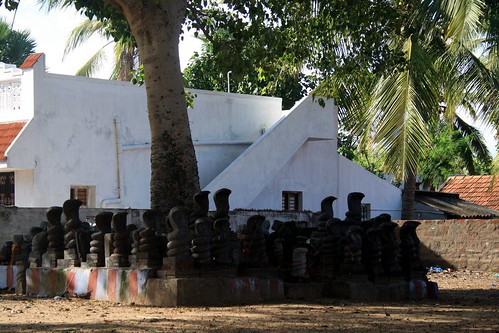 india statue snake tamilnadu ind ramanathapuram