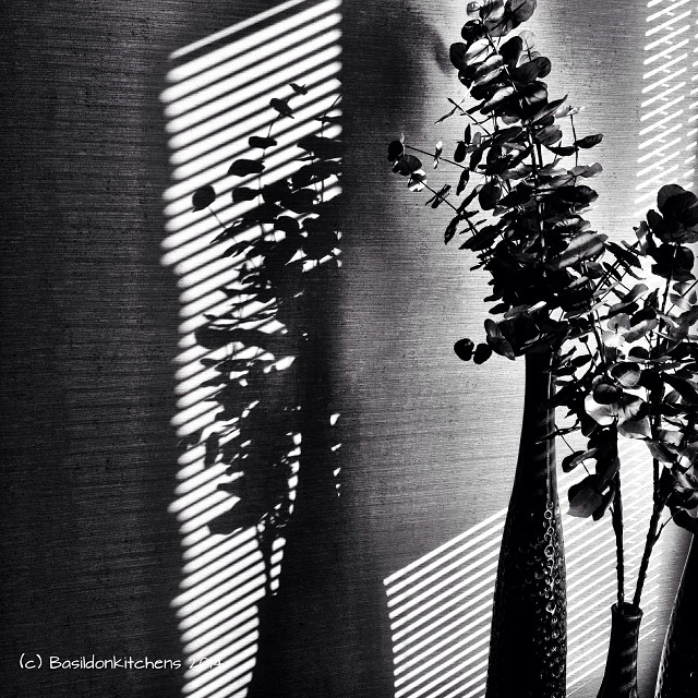 15/1/2014 - black & white {lovely shadows on the wall} #fmsphotoaday #black #white #shadiws #sunshine #stilllife