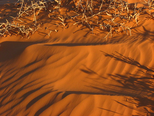 Sand Dunes 103 | by Chandler West