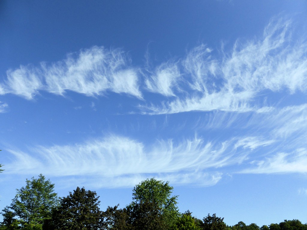 Feather Clouds