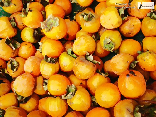 Beautiful Persimmons Fruit Picture | by Infoway LLC - Website Development Company