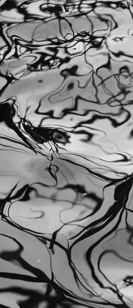 Water Ripple Mess Ripples and Reflections | 'There is this tremendous mess of … | Flickr