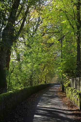 autumn lane oldglossop derbyshire october