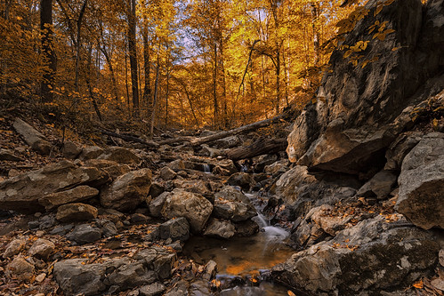 autumn fall leaves rocks maryland hike foliage riverbed cascade elkridge cascadetrail patapscostatepark