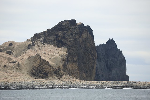 Adelie Penguin Colony Volcanic Cliffs Possession Island Ross Sea Antarctica