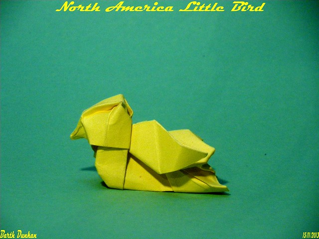 North America Little Bird by Barth Dunkan