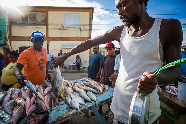 Fisheries in Belize 06