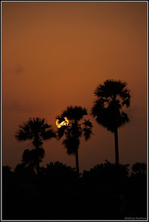 Sunrise in Rameshvaran