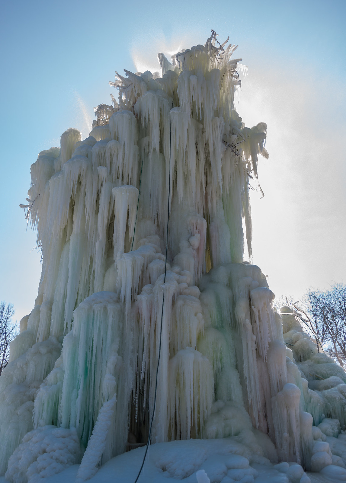 Veal's Ice Tree