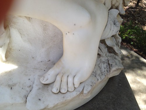 Provocation Exploration no. 14 - Italianate Garden | by fieldworkscollaborative
