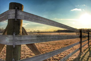 Horse Farm