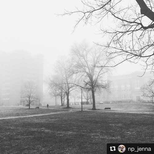 Spooky campus #npsocial #newpaltz #foggymorning