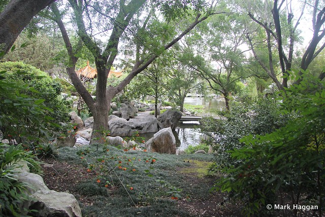 The Chinese Garden of Friendship, Darling Harbour, Sydney