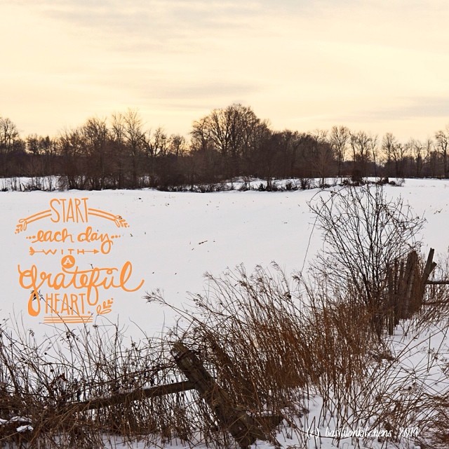 1/1/2014 - resolution {I resolve to start each day with a grateful heart} #photoaday #resolution #princeedwardcounty #rural #winter