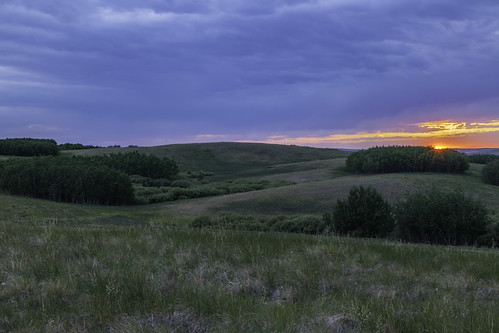 Antelope Hill PP
