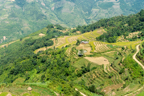 dongvan food hagiang landscape nature park seasia sapa vietnam agriculture asia asian countryside cultivation curve dong ethnic farming field fields flickr geological giang global green grow ha harvest hill house houses lush mountain outdoor paddy plateau rice rock small terraced terraces tourism travel tree valley van vietnamese view village yellow