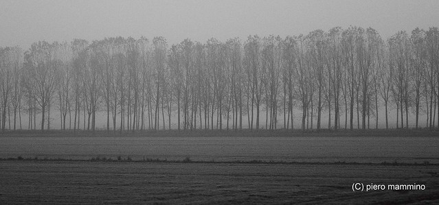 Fog in Pianura Padana _ North Italy