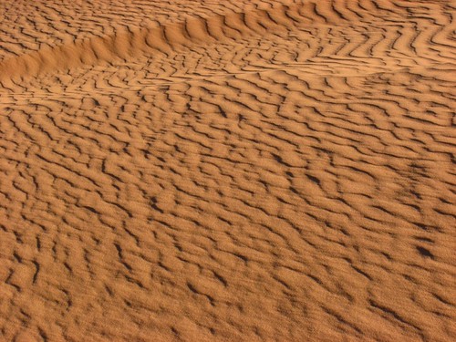 Sand Dunes 062 | by Chandler West