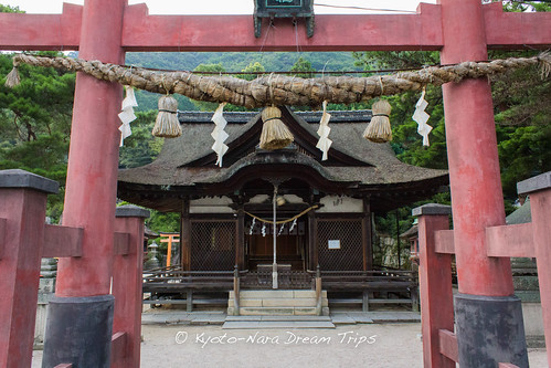 japan shinto takashima lakebiwa shigaken 白鬚神社 shirahigejinja 猿田毘古大神 sarutahikoōkami