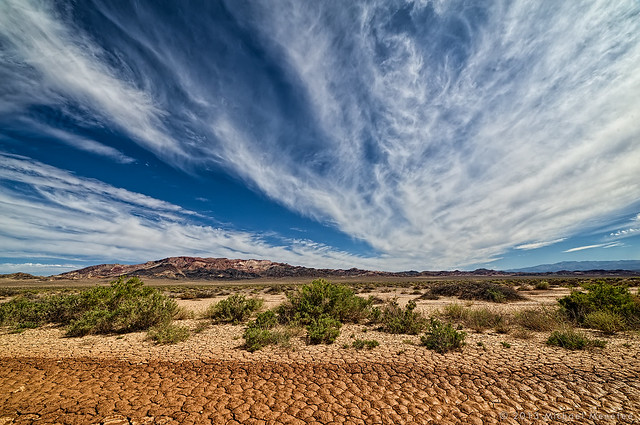 Nevada Desert Desiccation
