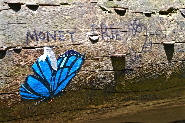 Money tree - Yorkshire Sculpture Park