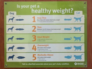 Is your pet a healthy weight? | by djuggler