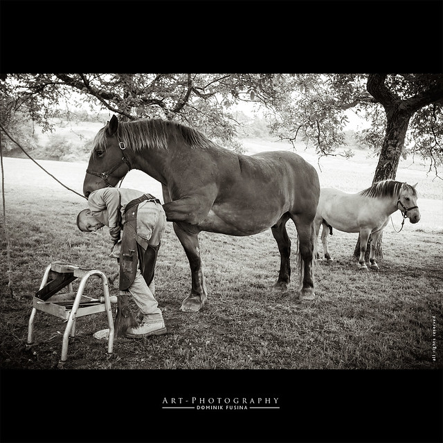 The farrier & the horses | FUJI x100s