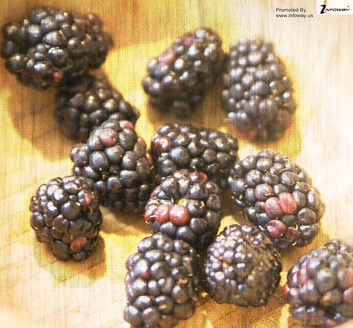 Great Blackberry Fruit Wallpaper | by Infoway LLC - Website Development Company